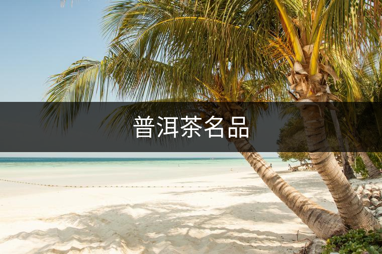 普洱茶名品