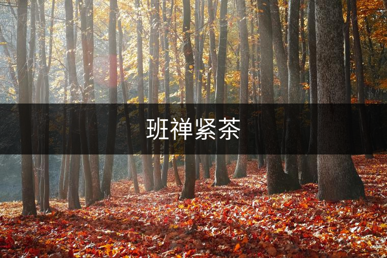 班禪緊茶