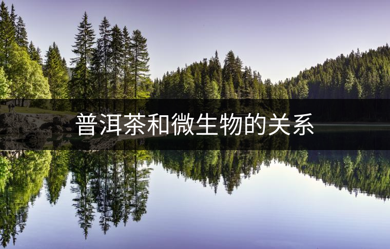 普洱茶和微生物的關(guān)系