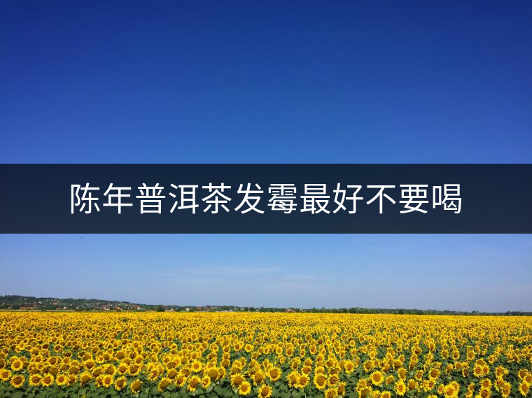 陳年普洱茶發(fā)霉最好不要喝