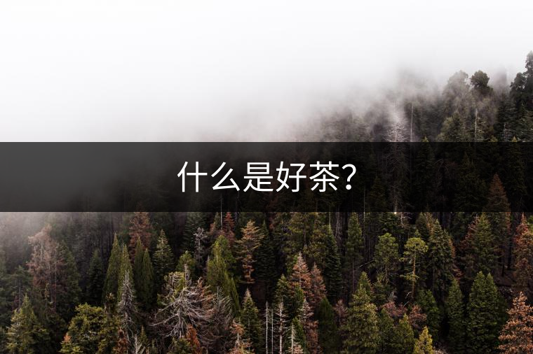 什么是好茶？
