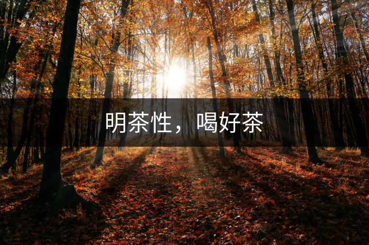 明茶性，喝好茶