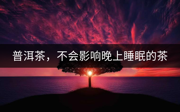 普洱茶，不會(huì)影響晚上睡眠的茶