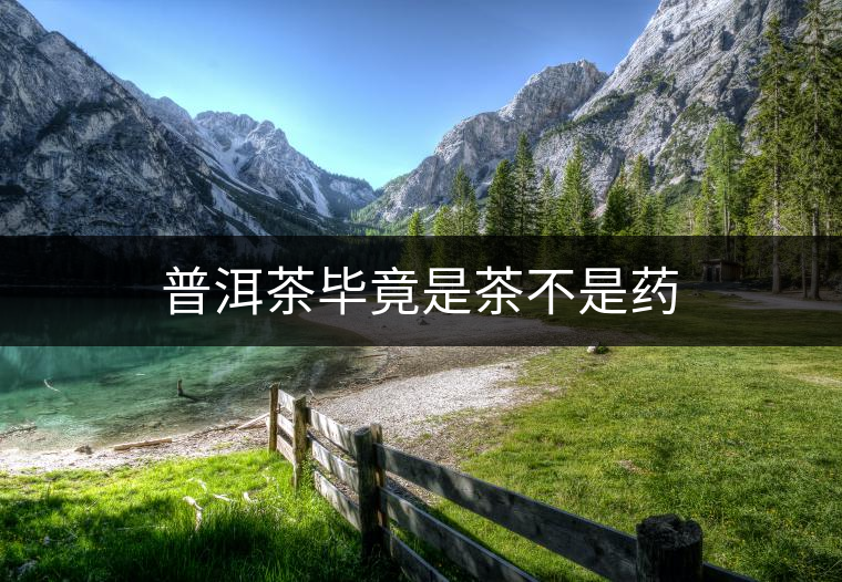 普洱茶畢竟是茶不是藥 普洱茶畢竟是茶不是藥