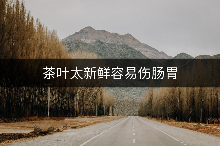 茶葉太新鮮容易傷腸胃 茶葉太新鮮容易傷腸胃