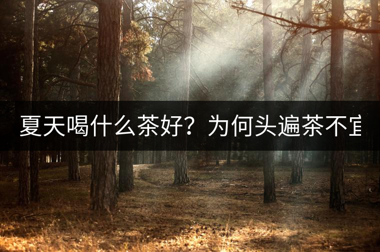 夏天喝什么茶好？為何頭遍茶不宜喝？