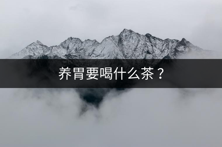養(yǎng)胃要喝什么茶 ？