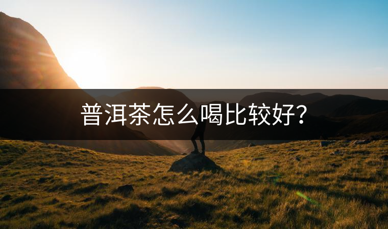 普洱茶怎么喝比較好？