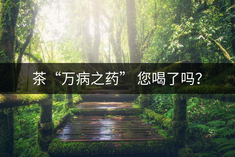 茶“萬病之藥” 您喝了嗎？