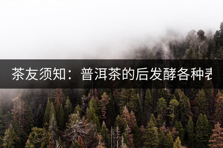 茶友須知：普洱茶的后發(fā)酵各種表現(xiàn) 喝普洱有益健康的奧妙所在！