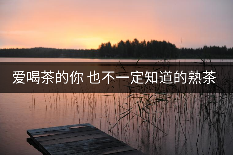 愛喝茶的你 也不一定知道的熟茶知識(shí)！