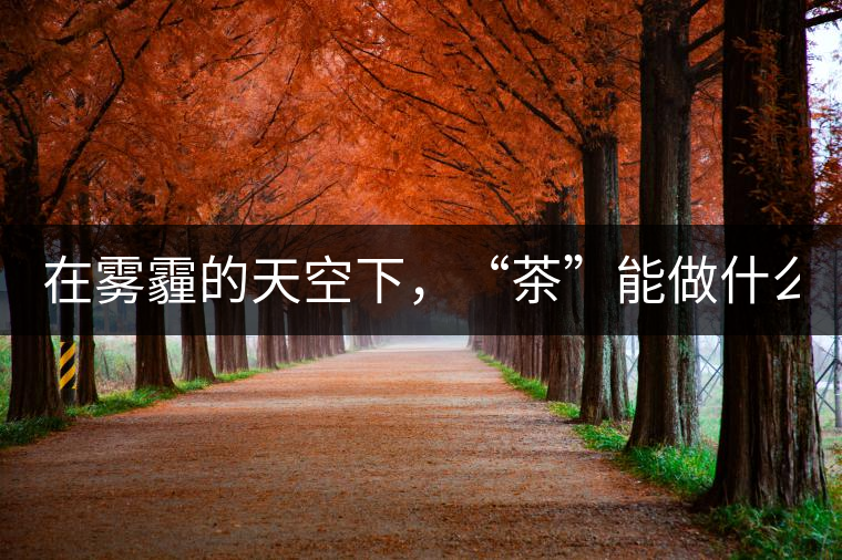 在霧霾的天空下，“茶”能做什么？