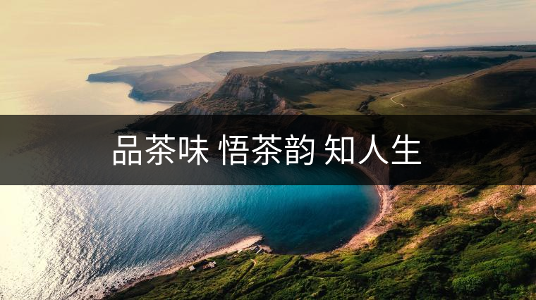 品茶味 悟茶韻 知人生