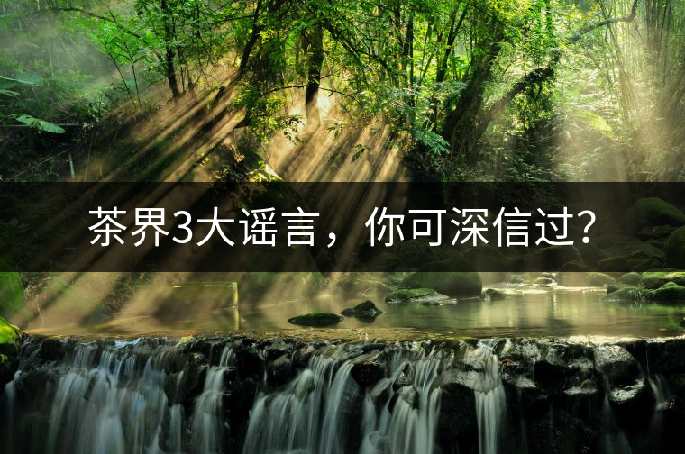 茶界3大謠言，你可深信過(guò)？