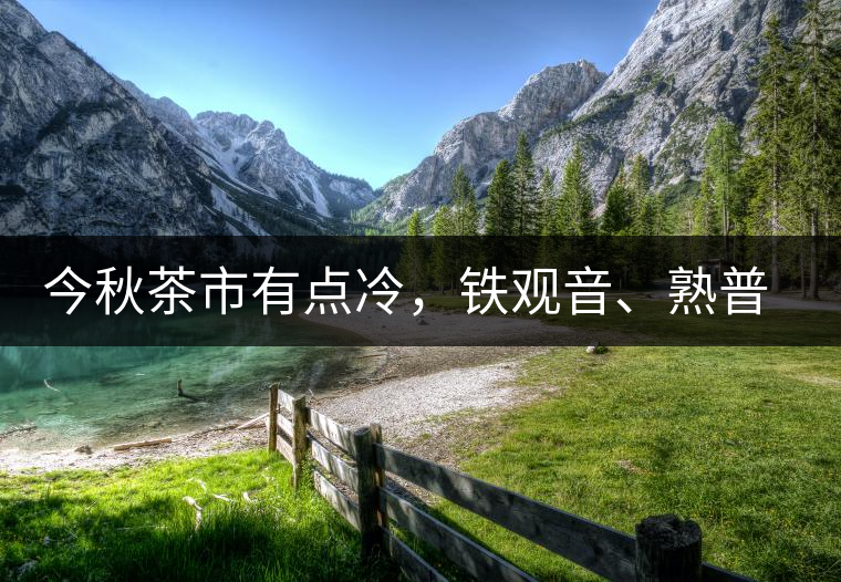 今秋茶市有點(diǎn)冷，鐵觀音、熟普受專家推崇