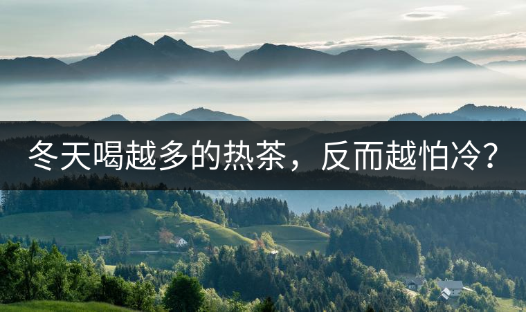 冬天喝越多的熱茶，反而越怕冷？