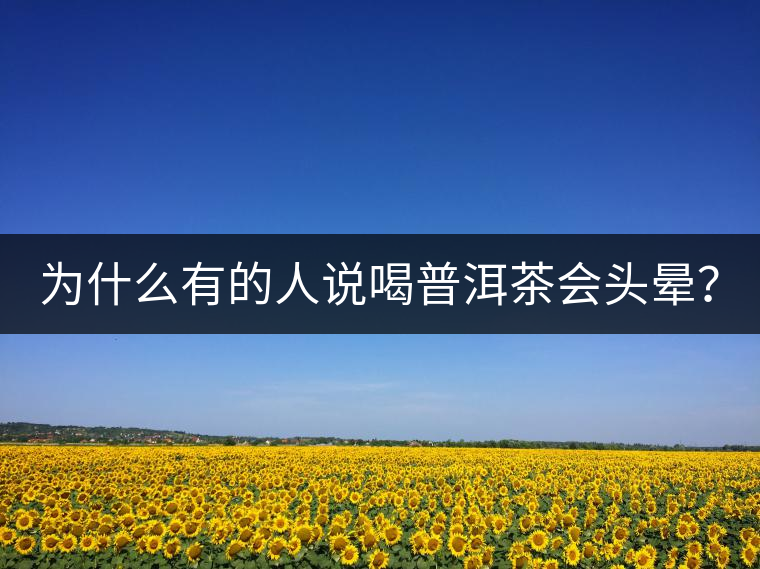 為什么有的人說喝普洱茶會(huì)頭暈？