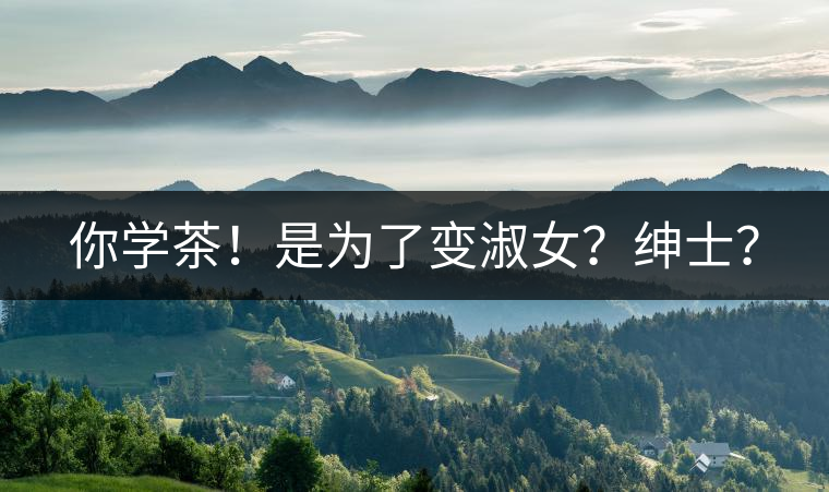 你學(xué)茶！是為了變淑女？紳士？