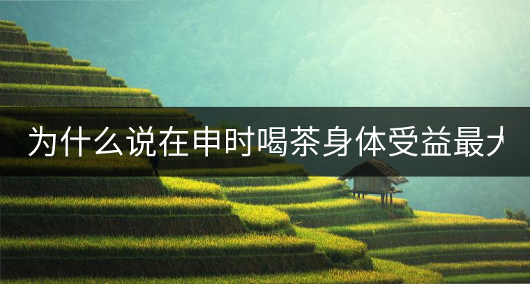 為什么說(shuō)在申時(shí)喝茶身體受益最大？