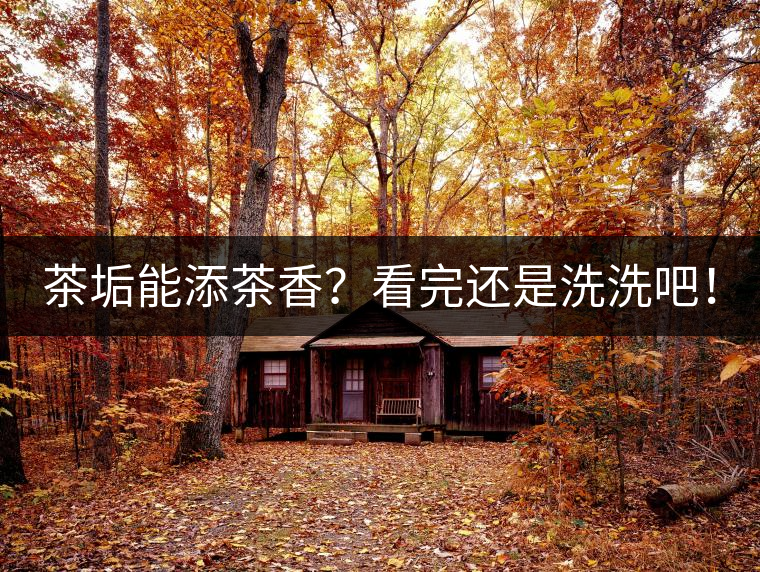 茶垢能添茶香？看完還是洗洗吧！