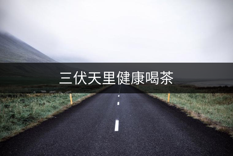 三伏天里健康喝茶