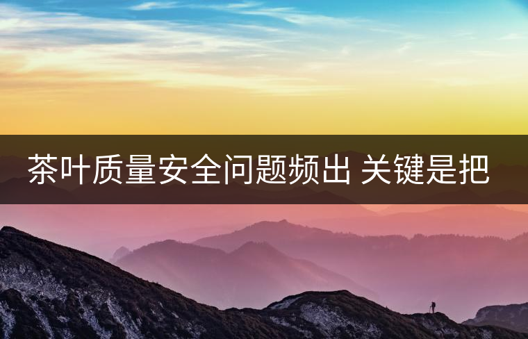 茶葉質(zhì)量安全問題頻出 關(guān)鍵是把控源頭