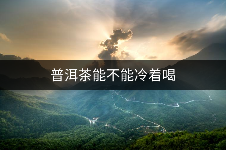 普洱茶能不能冷著喝