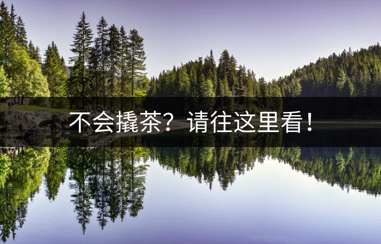 不會(huì)撬茶？請(qǐng)往這里看！