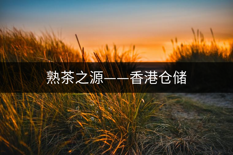 熟茶之源——香港倉儲