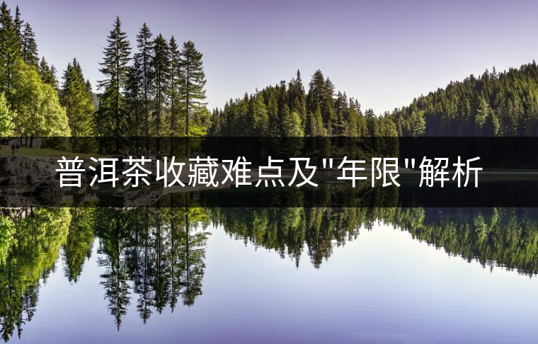 普洱茶收藏難點(diǎn)及
