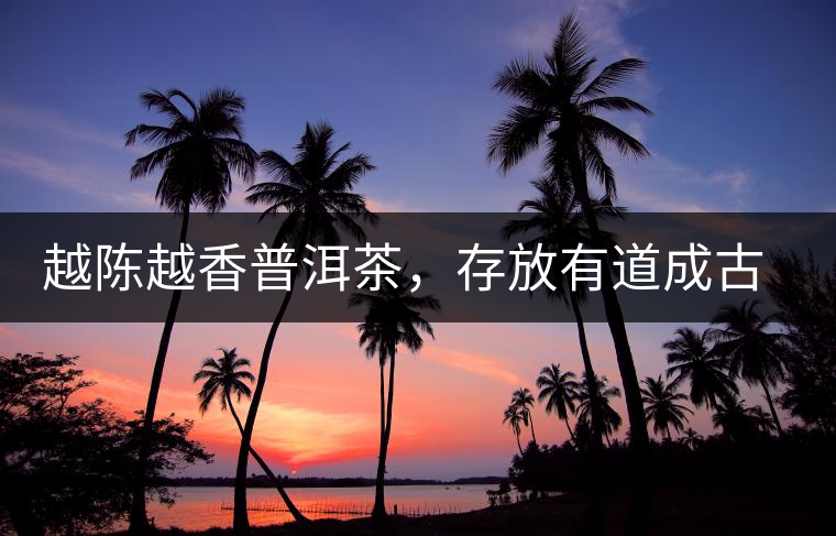 越陳越香普洱茶，存放有道成古董