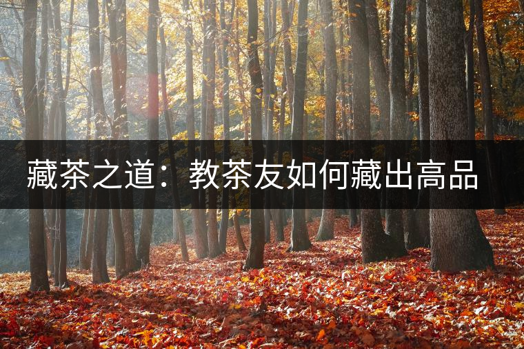 藏茶之道:教茶友如何藏出高品質(zhì)普洱茶 藏茶之道:教茶友如何藏出高品質(zhì)普洱茶