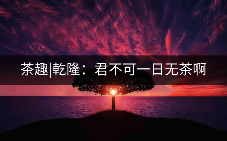 茶趣|乾?。壕豢梢蝗諢o茶啊