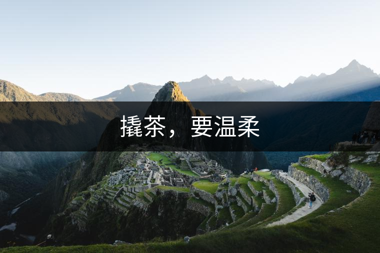 撬茶，要溫柔