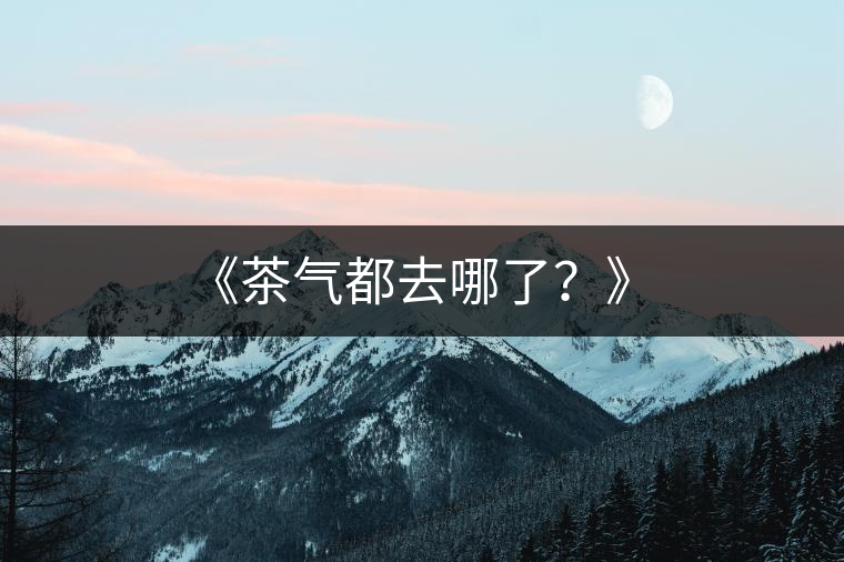 《茶氣都去哪了？》