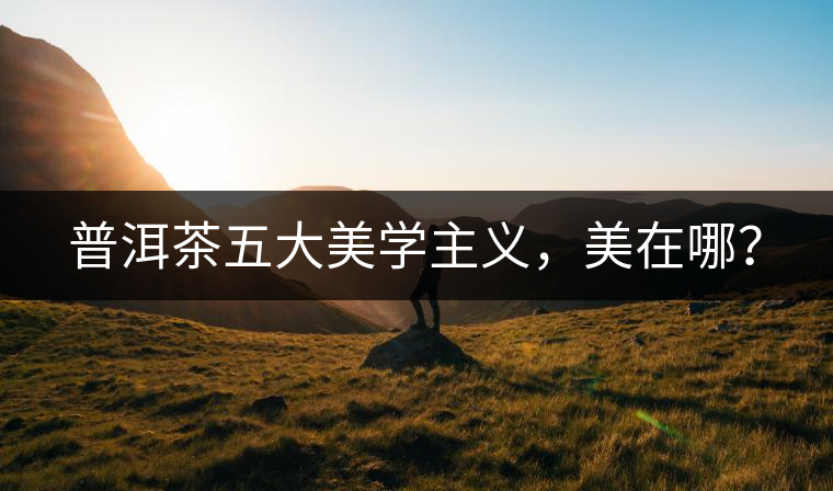 普洱茶五大美學(xué)主義，美在哪？