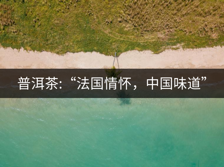 普洱茶:“法國(guó)情懷，中國(guó)味道”