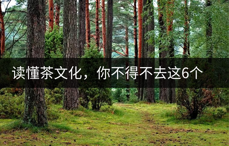 讀懂茶文化，你不得不去這6個(gè)城市