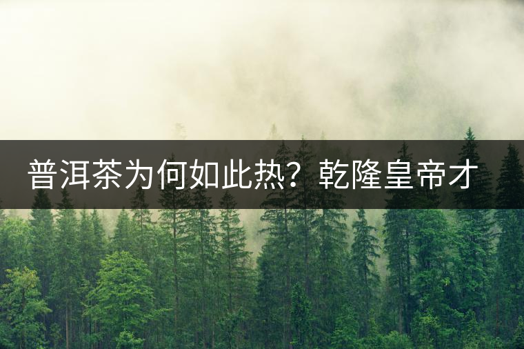 普洱茶為何如此熱？乾隆皇帝才是最大推手