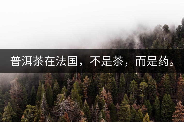 普洱茶在法國，不是茶，而是藥。