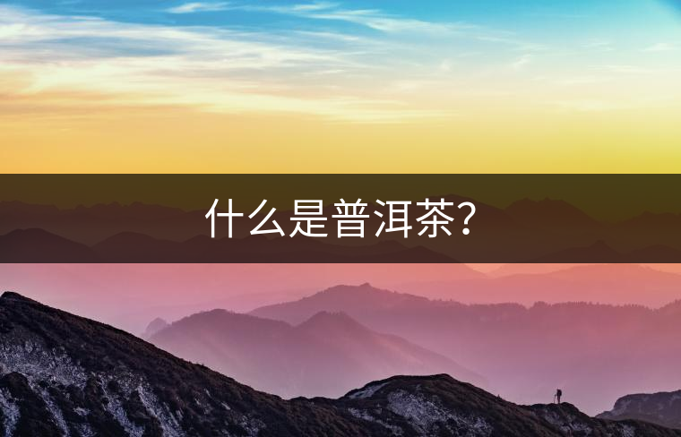 什么是普洱茶？