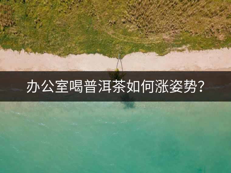 辦公室喝普洱茶如何漲姿勢？