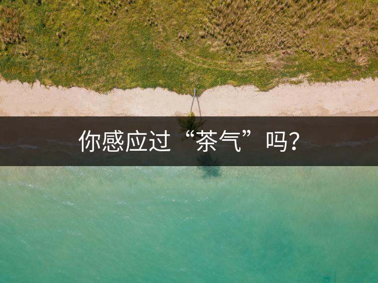 你感應過“茶氣”嗎？