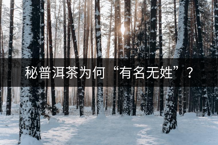 秘普洱茶為何“有名無(wú)姓”？
