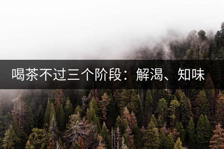 喝茶不過(guò)三個(gè)階段：解渴、知味、怡情