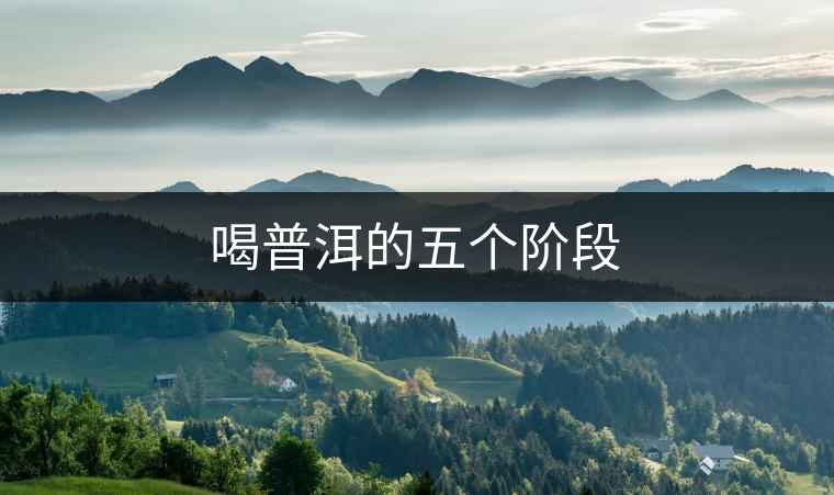 喝普洱的五個(gè)階段