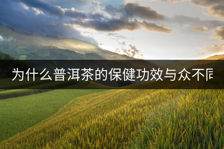為什么普洱茶的保健功效與眾不同？
