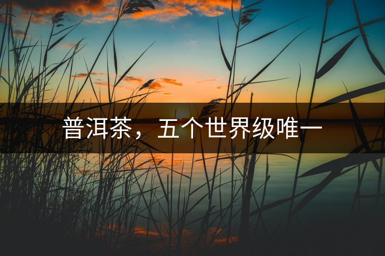 普洱茶，五個(gè)世界級(jí)唯一
