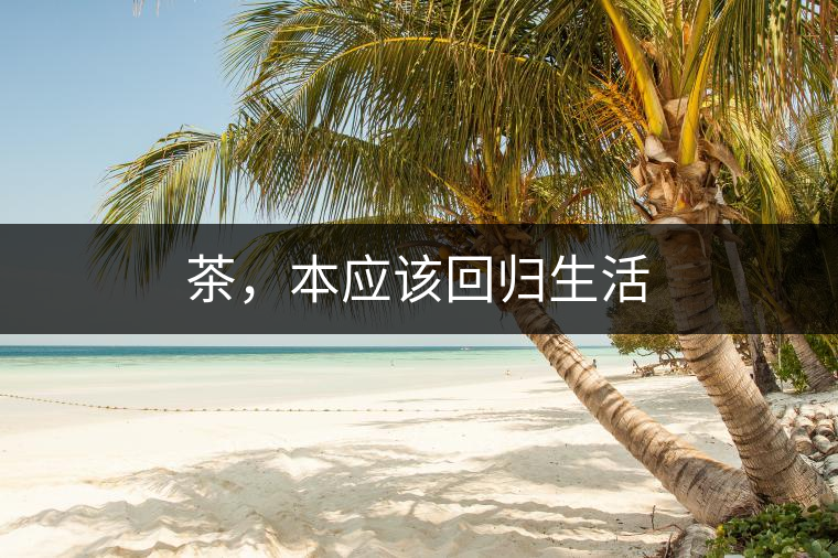 茶，本應(yīng)該回歸生活
