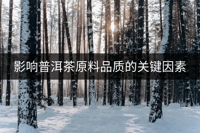 影響普洱茶原料品質(zhì)的關(guān)鍵因素
